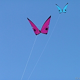 Penvins-festival -2006 -0334